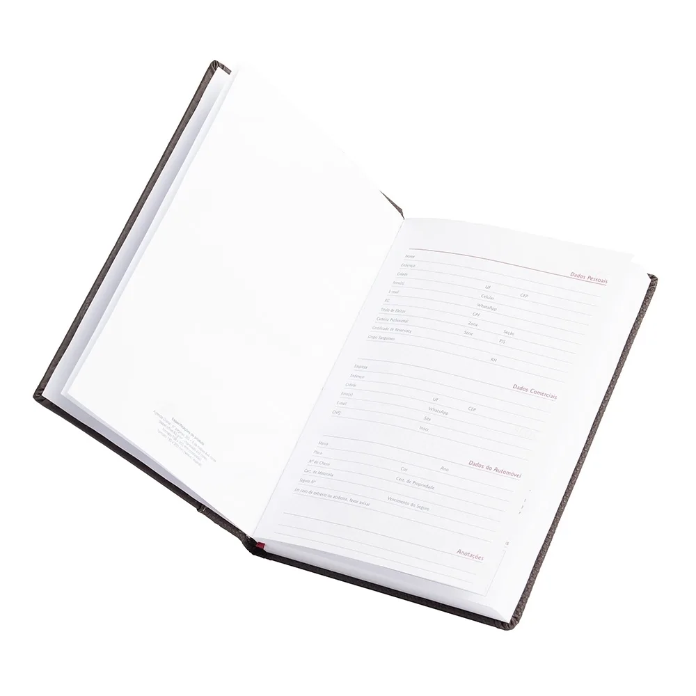 AGENDA DIÁRIA 2025