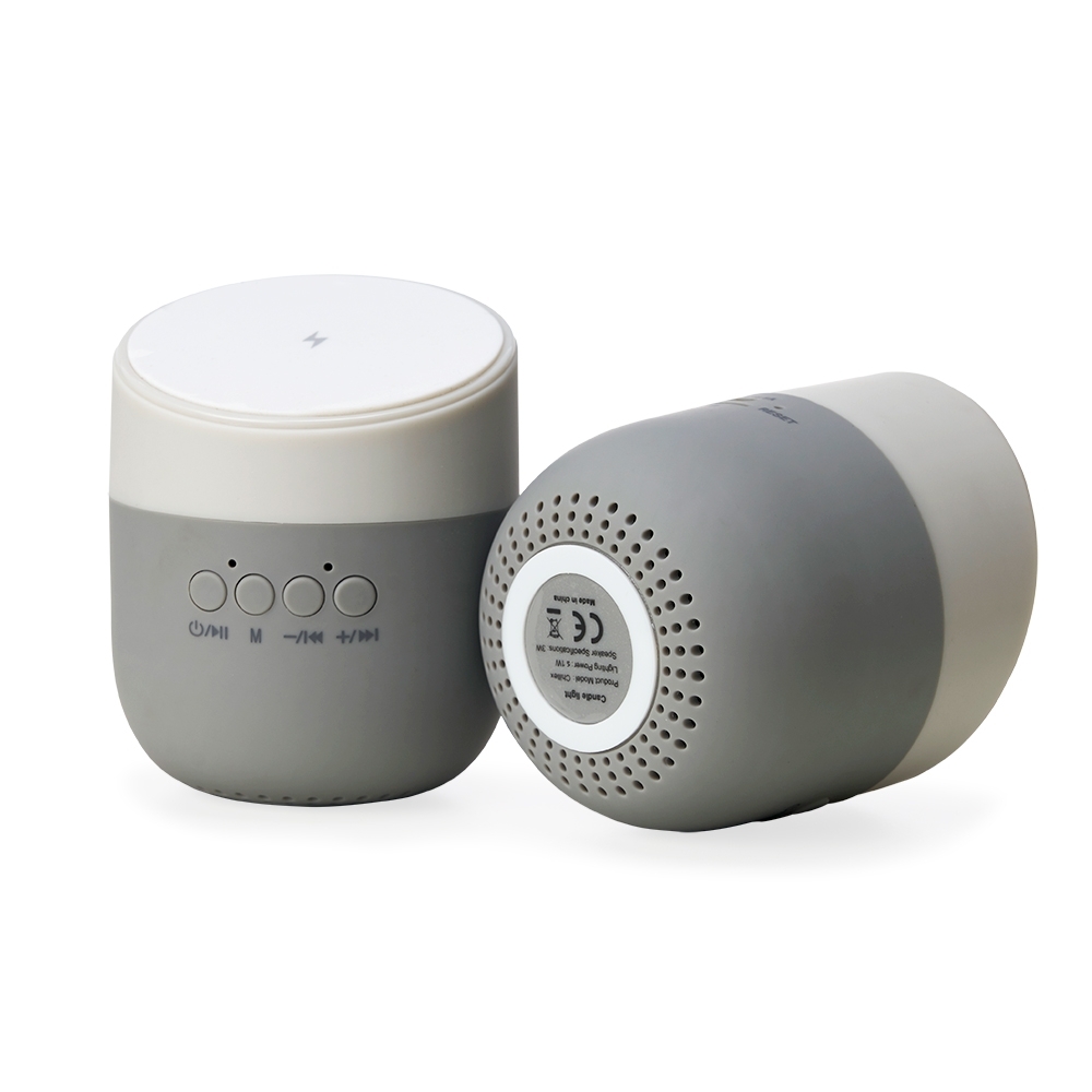 Caixa De Som Com Carregador Por Indução