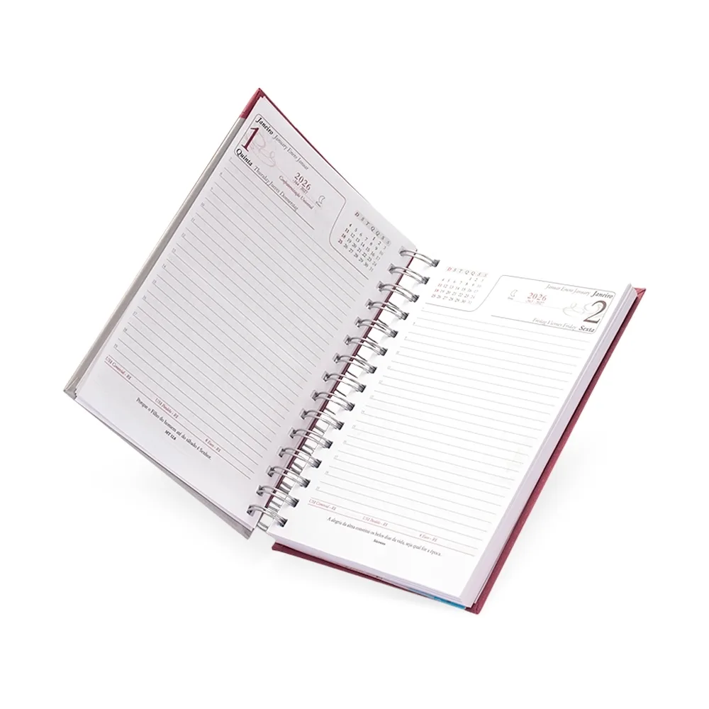 Agenda Diária 2026