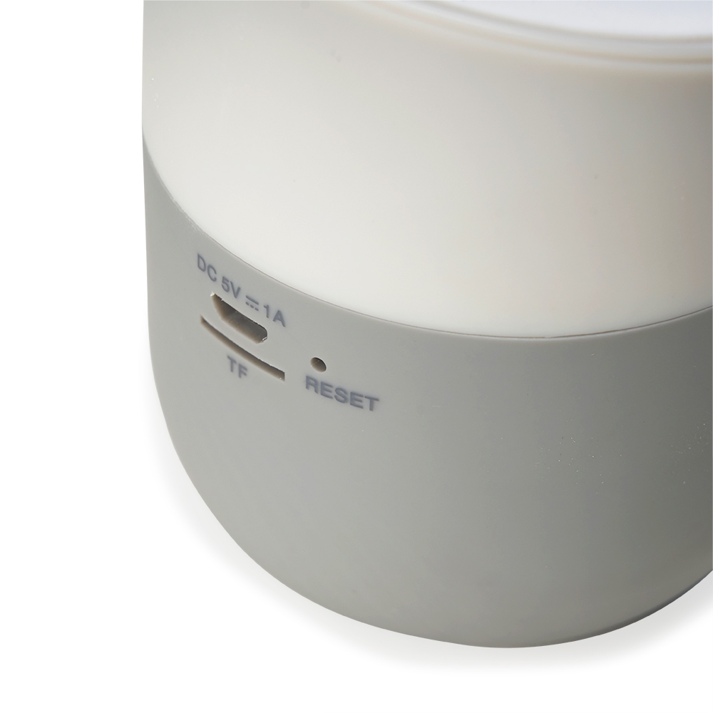 Caixa De Som Com Carregador Por Indução CAIXA DE SOM COM CARREGADOR POR INDUÇÃO